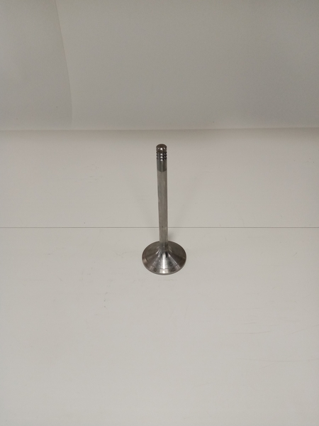 Клапан двигателя впускной  RVI 7420758481