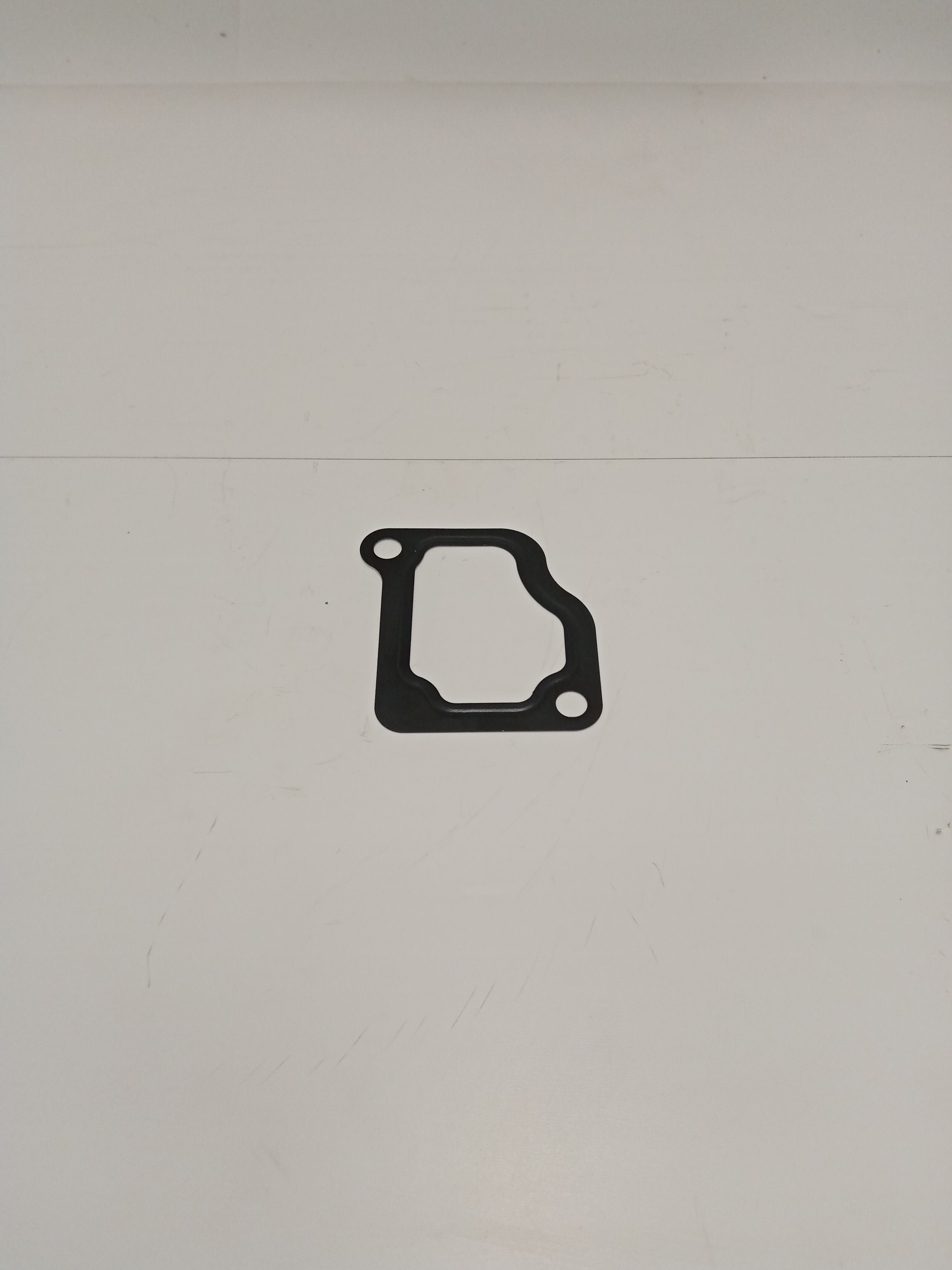 Прокладка впускного коллектора RVI 7422262916