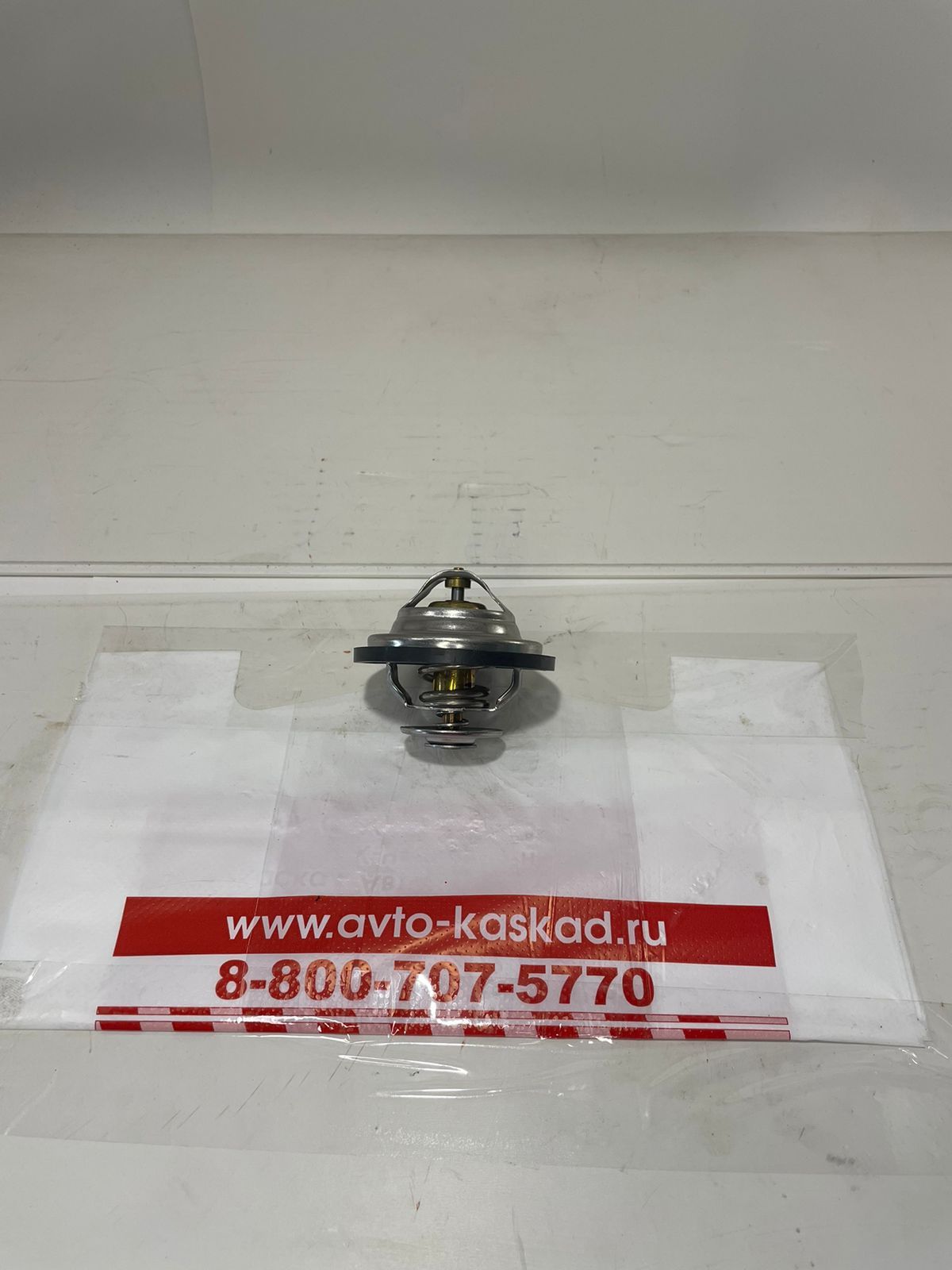 Термостат RVI 7420450736